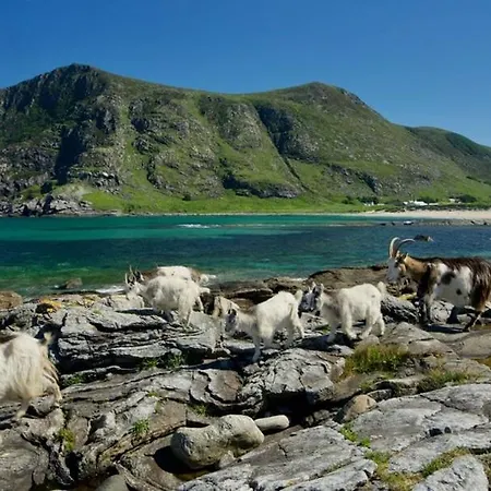 Lägenhet With Unique View Ervik (Vestland)