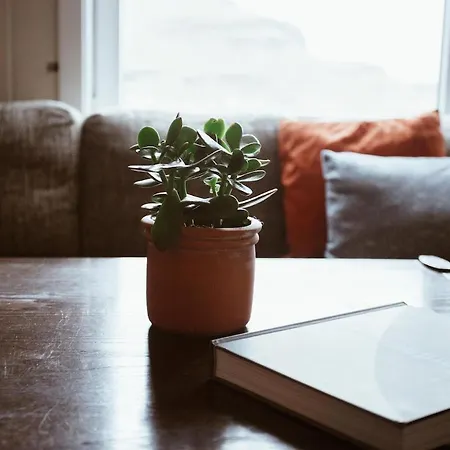 Lägenhet With Unique View Ervik (Vestland)