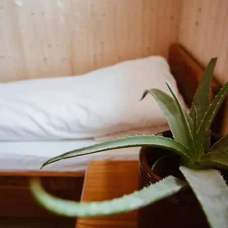 With Unique View Lägenhet Ervik (Vestland)