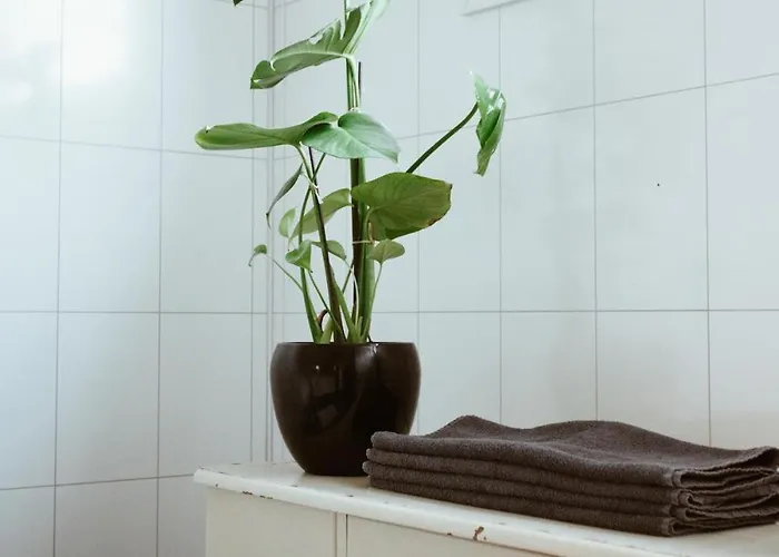 Apartament With Unique View *