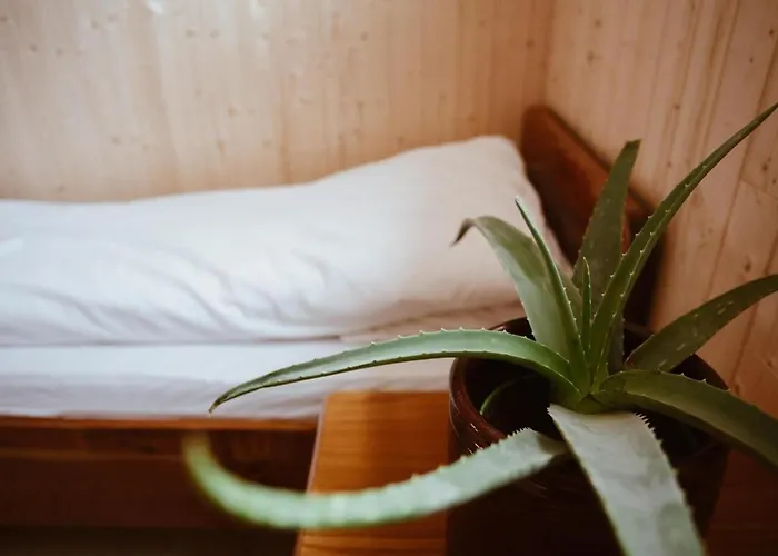 With Unique View Apartament Ervik (Vestland)