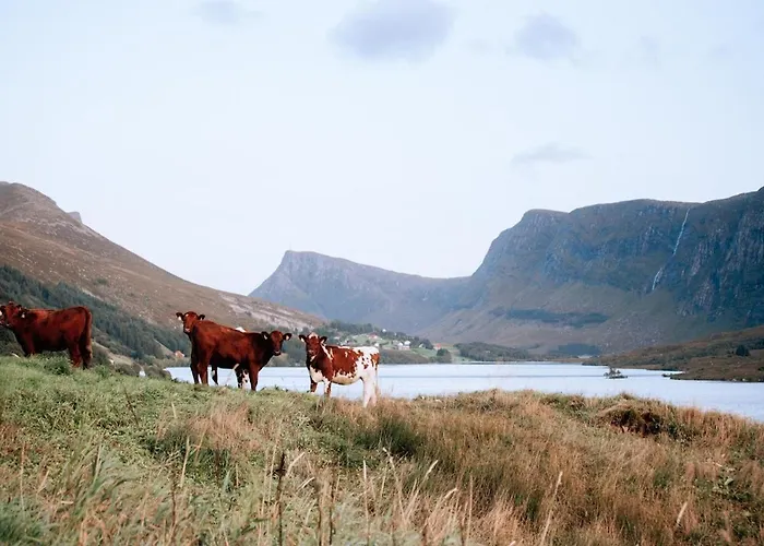 With Unique View Ervik (Vestland)