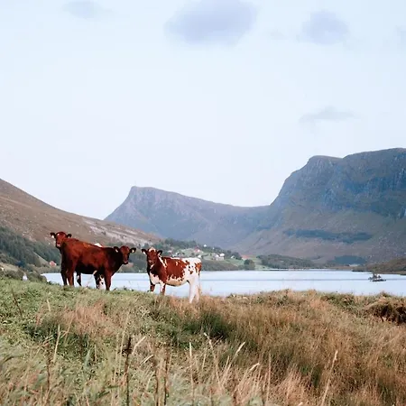 With Unique View Ervik (Vestland)