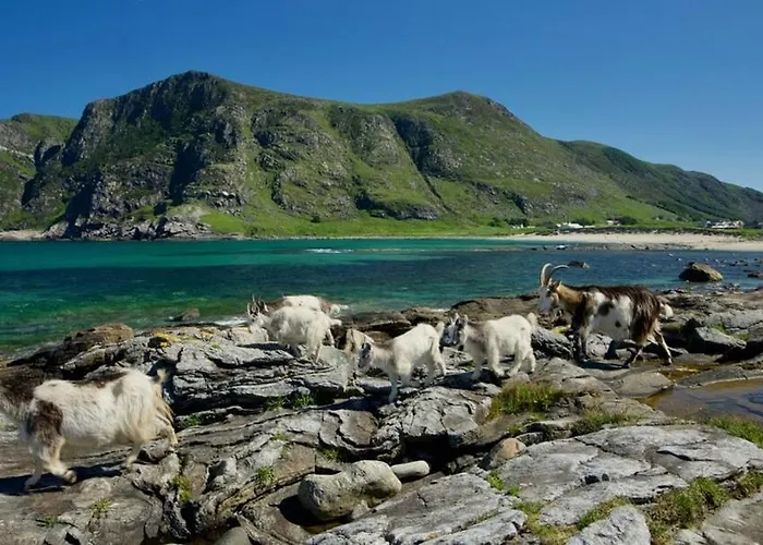 Lägenhet With Unique View Ervik (Vestland)